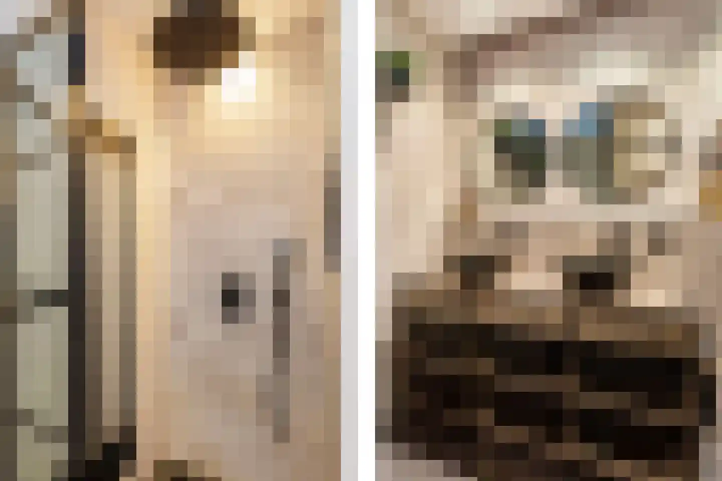 Emile Hullebroeckstraat 29 E Utrecht thumbnail 37