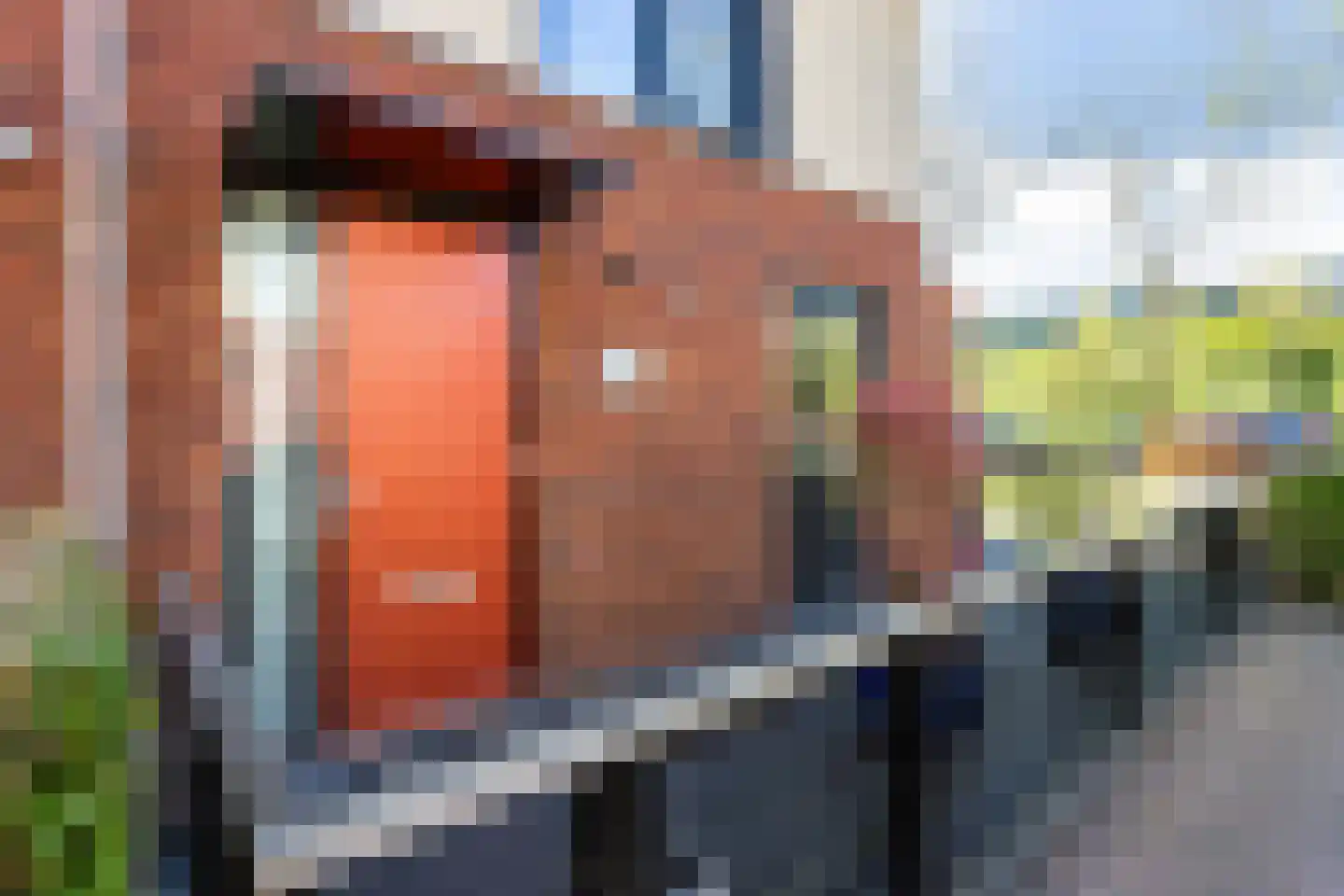 Emile Hullebroeckstraat 29 E Utrecht thumbnail 50