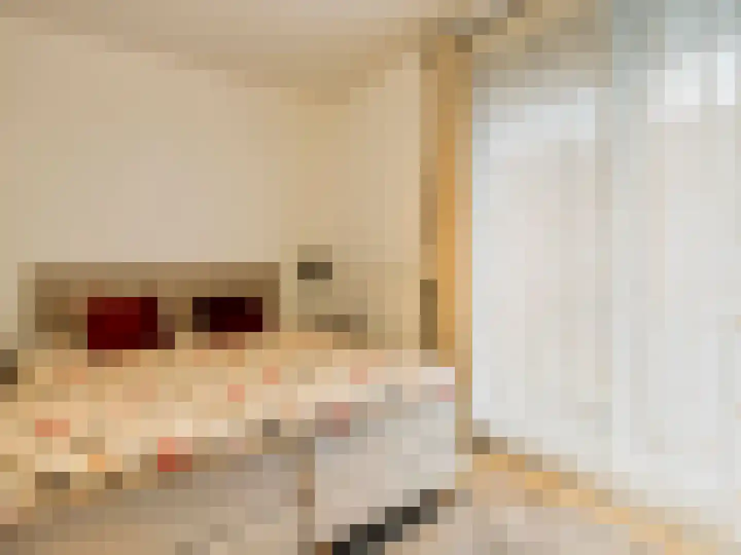 Emile Hullebroeckstraat 41 B Utrecht thumbnail 22