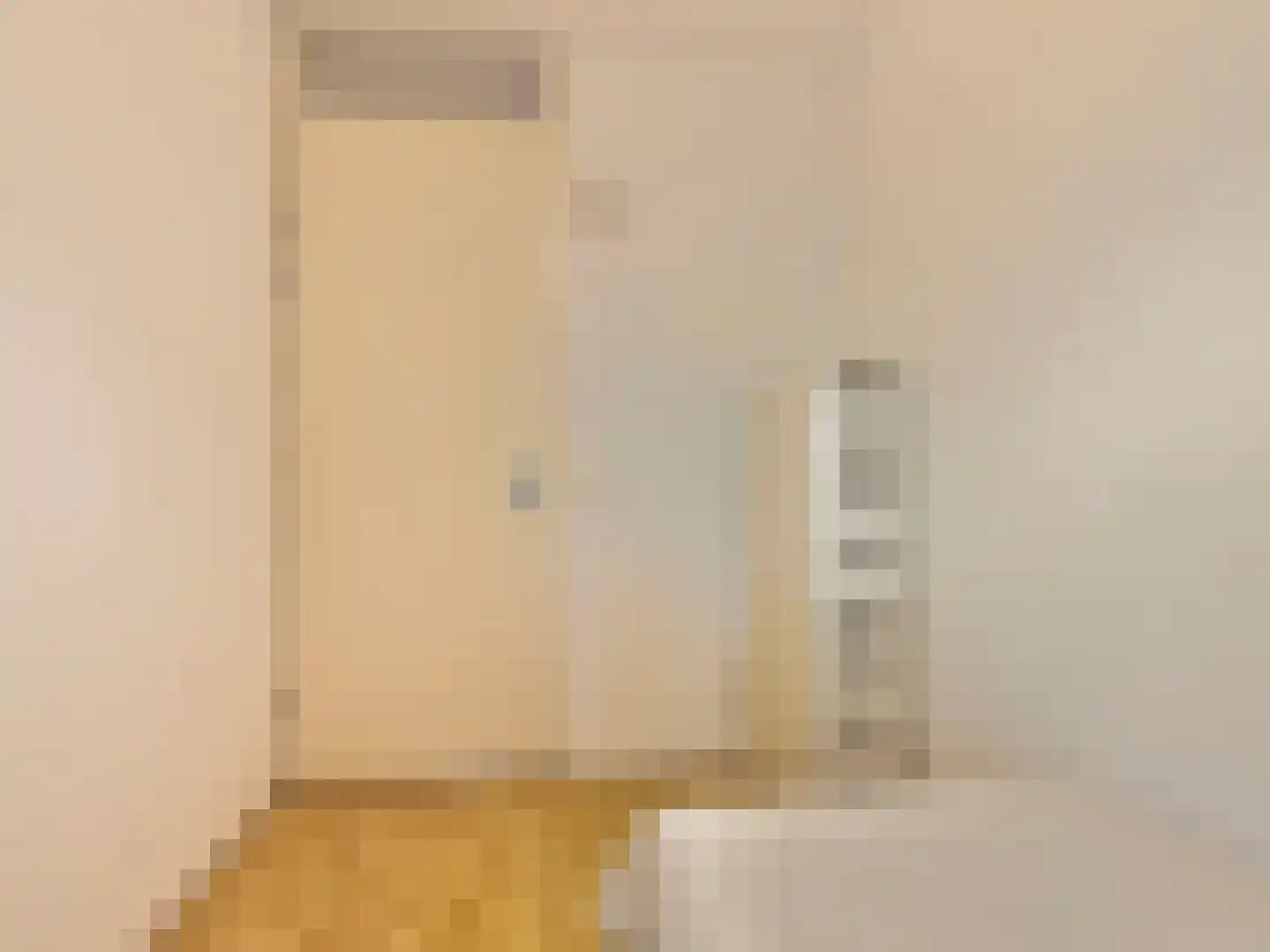 Emile Hullebroeckstraat 41 B Utrecht thumbnail 28