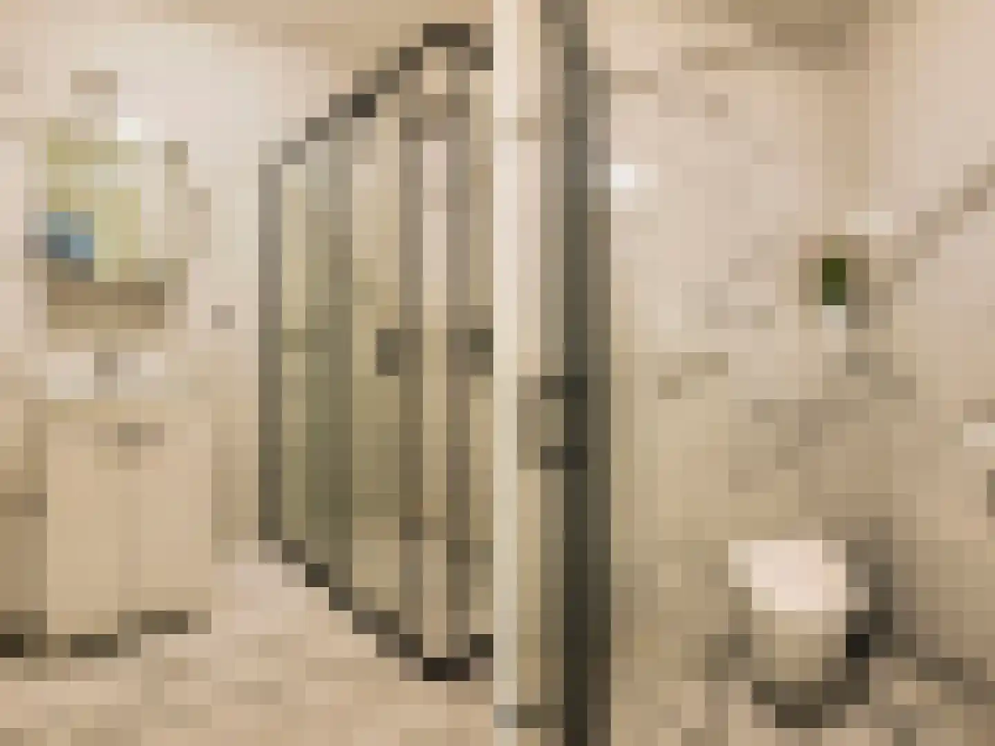 Emile Hullebroeckstraat 41 B Utrecht thumbnail 30