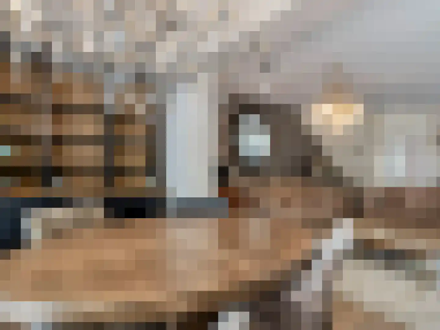 Emile Hullebroeckstraat 41 D Utrecht thumbnail 12