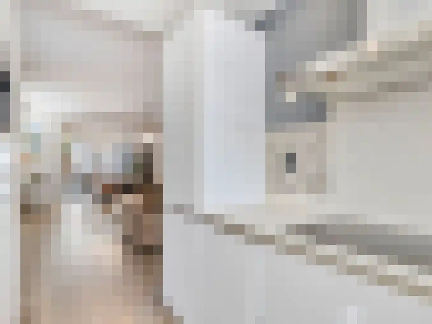 Emile Hullebroeckstraat 41 D Utrecht thumbnail 17