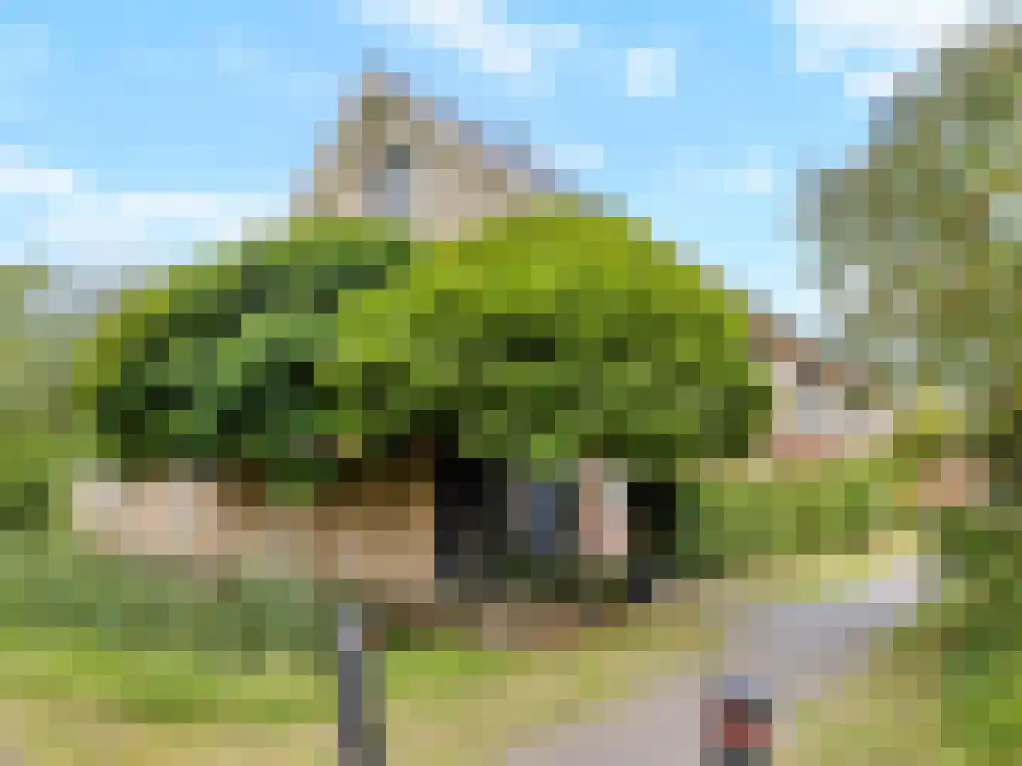 Emile Hullebroeckstraat 41 D Utrecht thumbnail 38