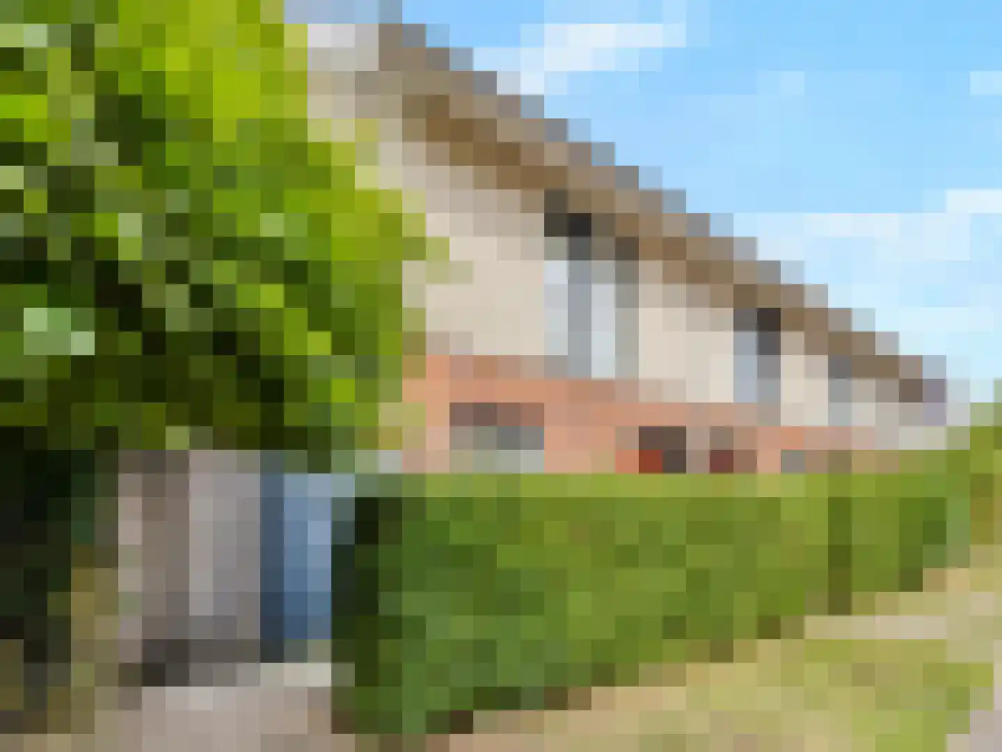 Emile Hullebroeckstraat 41 D Utrecht thumbnail 39