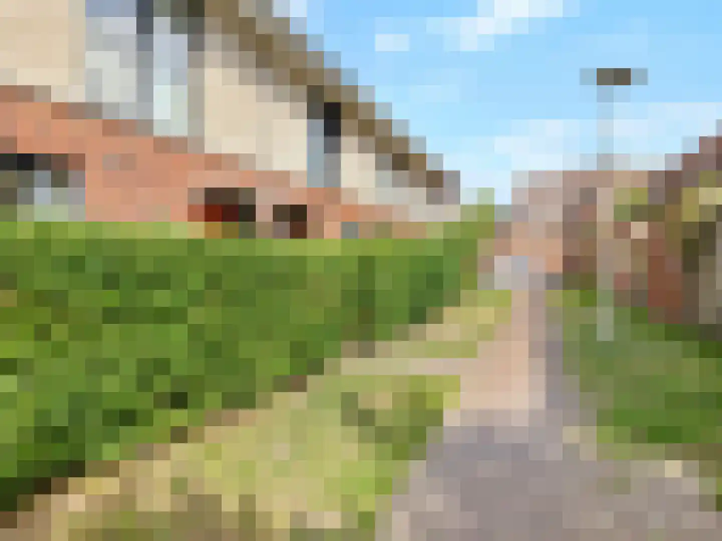 Emile Hullebroeckstraat 41 D Utrecht thumbnail 40