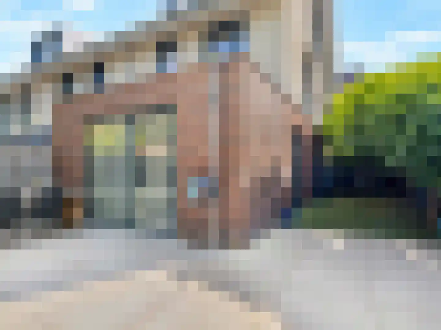 Emile Hullebroeckstraat 41 D Utrecht thumbnail 5