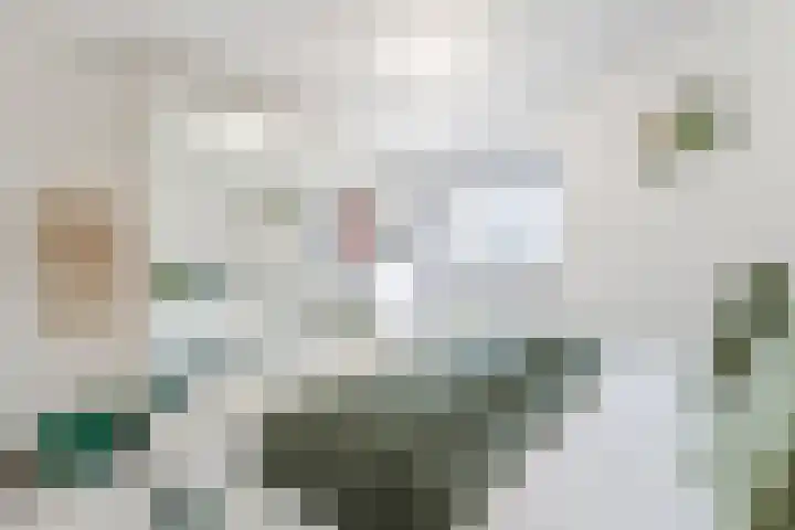 Emile Hullebroeckstraat 83 Utrecht thumbnail 22