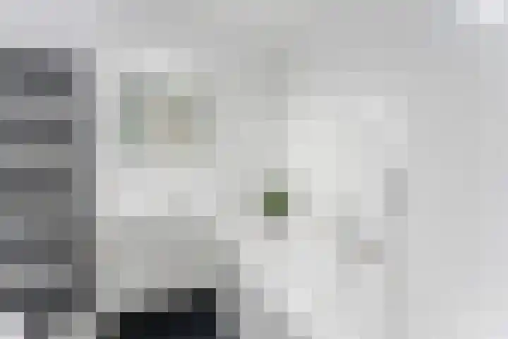 Emile Hullebroeckstraat 83 Utrecht thumbnail 29