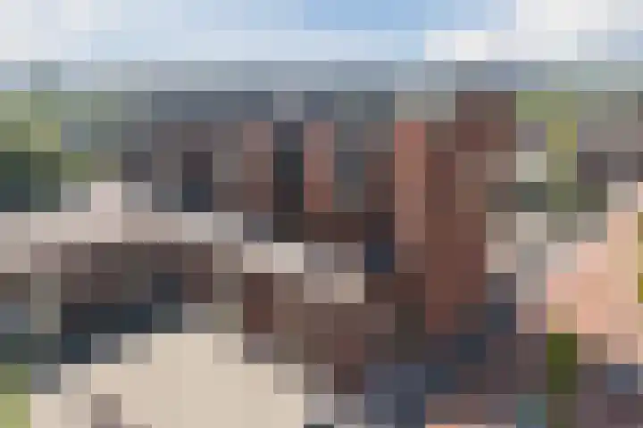Emile Hullebroeckstraat 83 Utrecht thumbnail 47