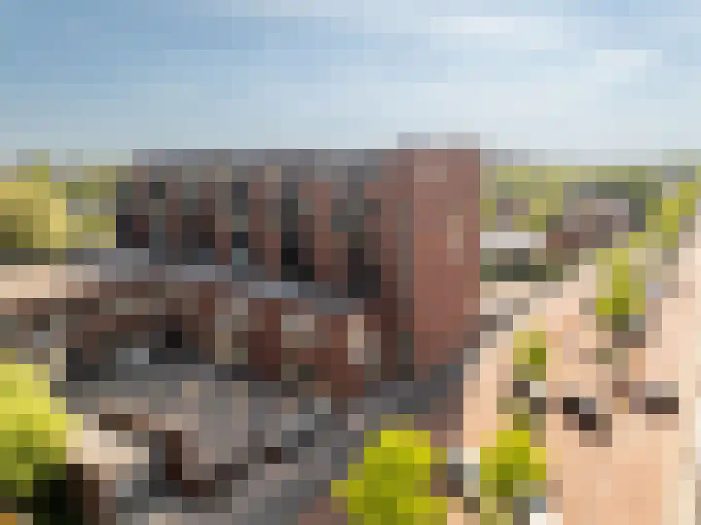 Emile Hullebroeckstraat 93 Utrecht thumbnail 28