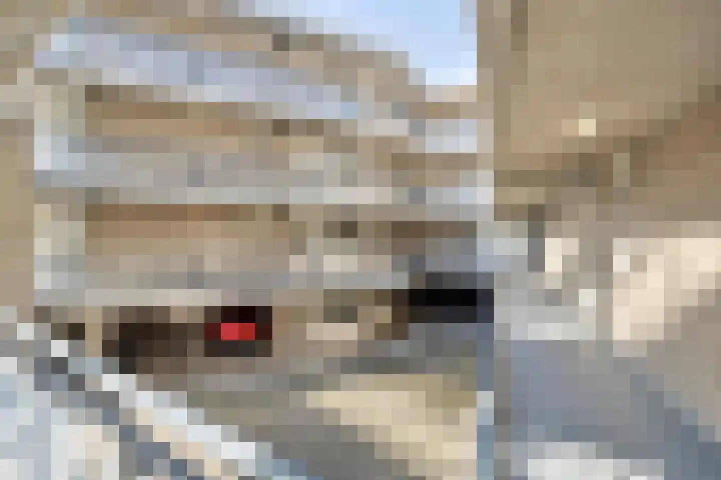 Emile Zolaplein 18 Eindhoven thumbnail 12