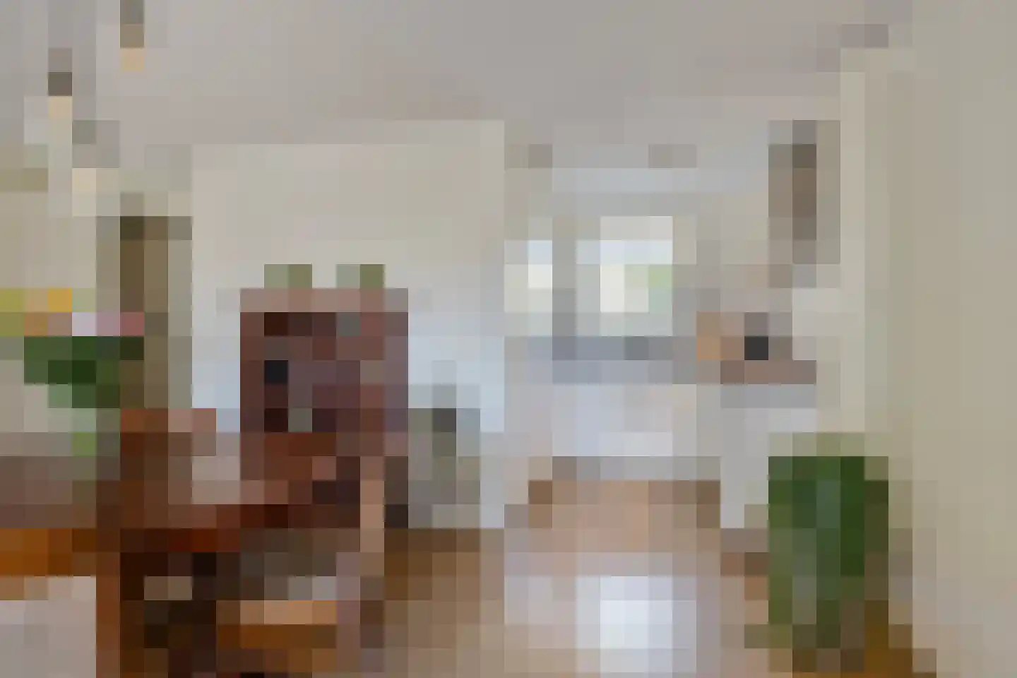 Emile Zolaplein 18 Eindhoven thumbnail 20