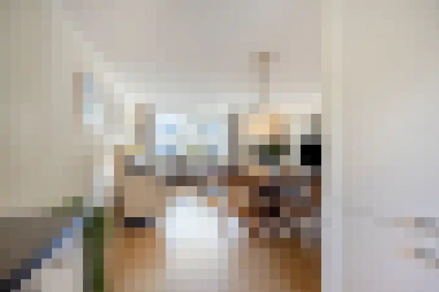 Emile Zolaplein 18 Eindhoven thumbnail 21