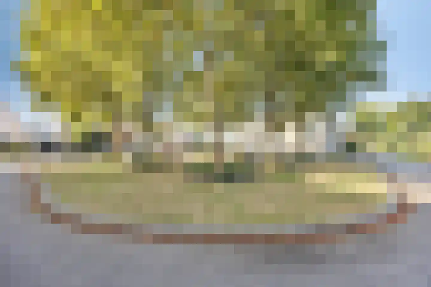 Emile Zolaplein 18 Eindhoven thumbnail 34