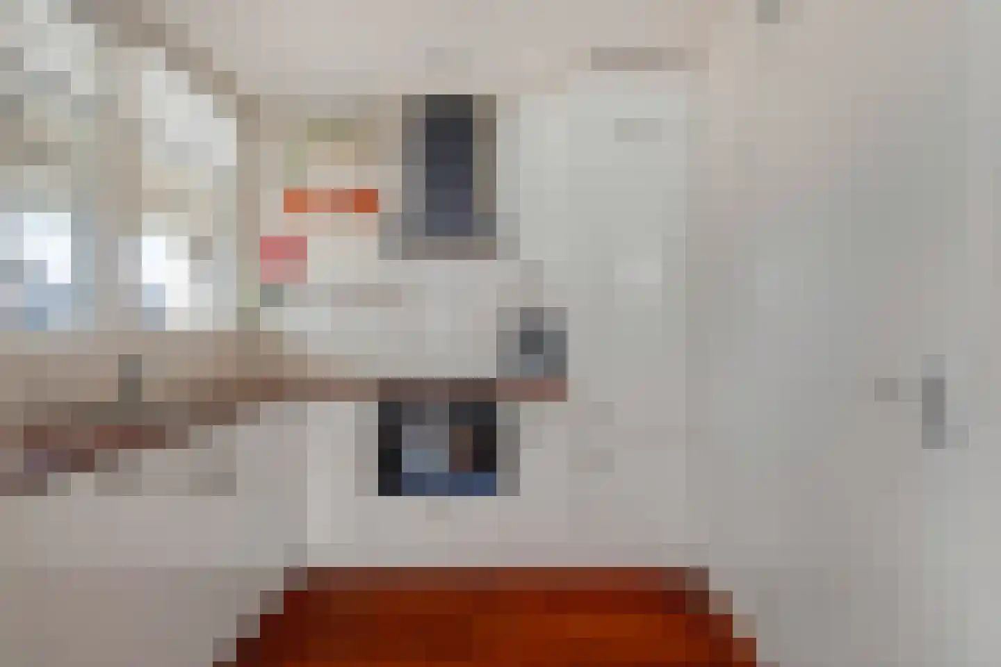 Emile Zolaplein 19 Eindhoven thumbnail 15