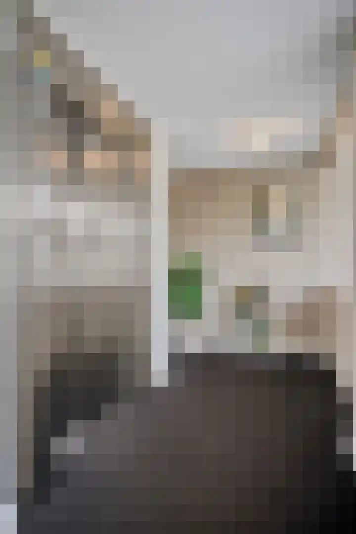 Emile Zolaplein 30 Eindhoven thumbnail 17