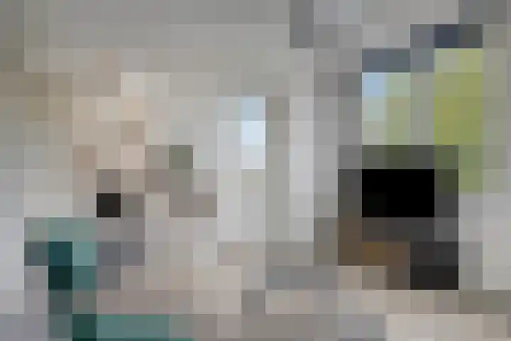 Emile Zolaplein 30 Eindhoven thumbnail 23