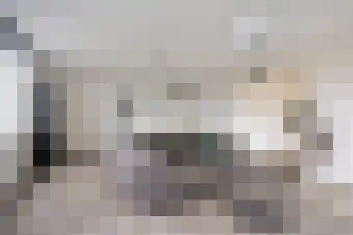Emile Zolaplein 30 Eindhoven thumbnail 24