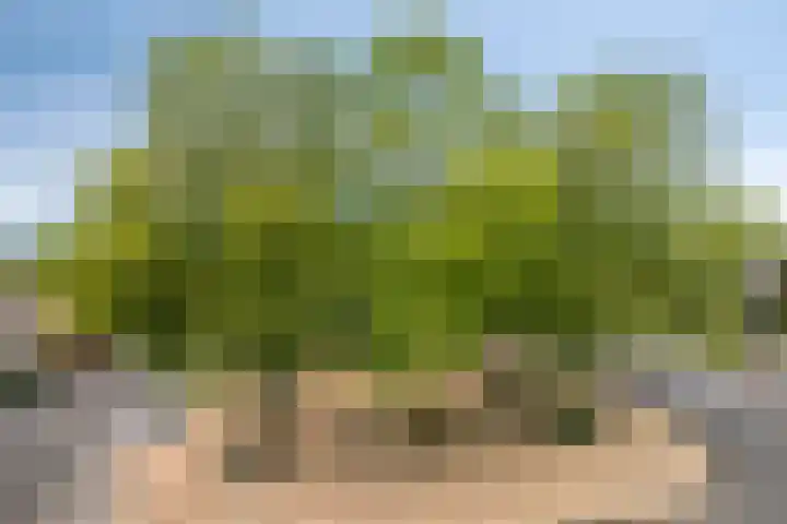 Emile Zolaplein 30 Eindhoven thumbnail 27