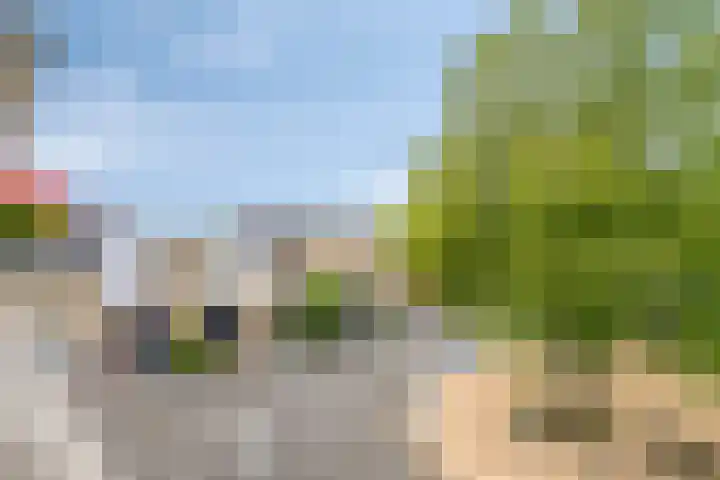 Emile Zolaplein 30 Eindhoven thumbnail 28