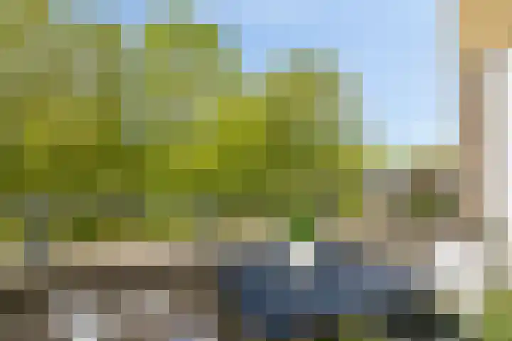 Emile Zolaplein 30 Eindhoven thumbnail 29