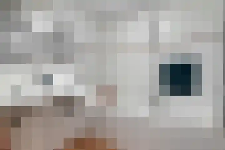 Emile Zolaplein 30 Eindhoven thumbnail 33