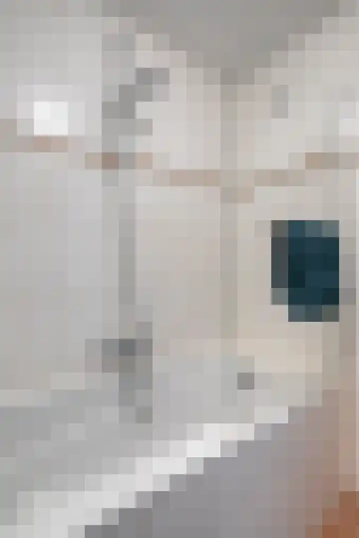 Emile Zolaplein 30 Eindhoven thumbnail 35