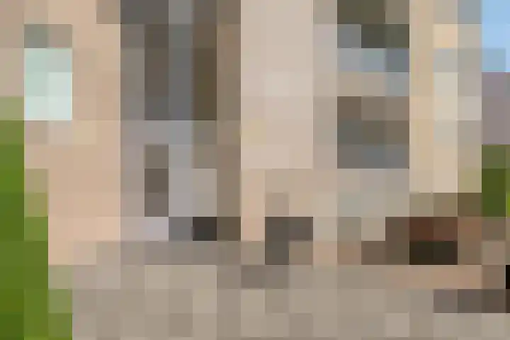 Emile Zolaplein 30 Eindhoven thumbnail 7