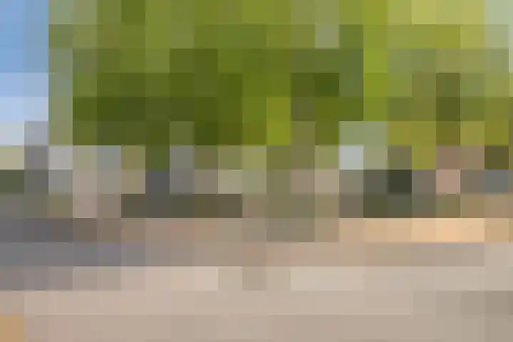 Emile Zolaplein 30 Eindhoven thumbnail 8