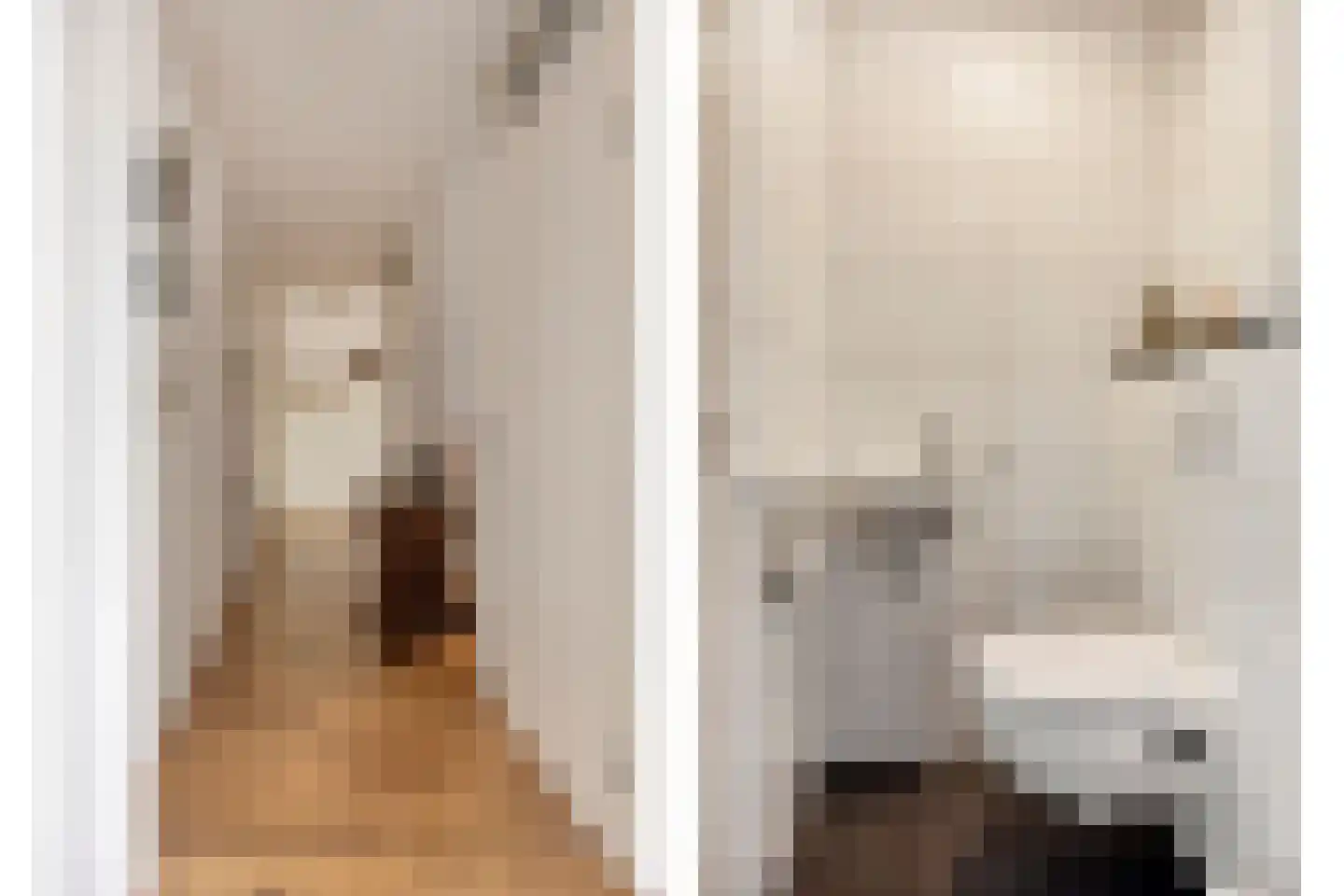 Emile Zolaplein 9 Eindhoven thumbnail 11