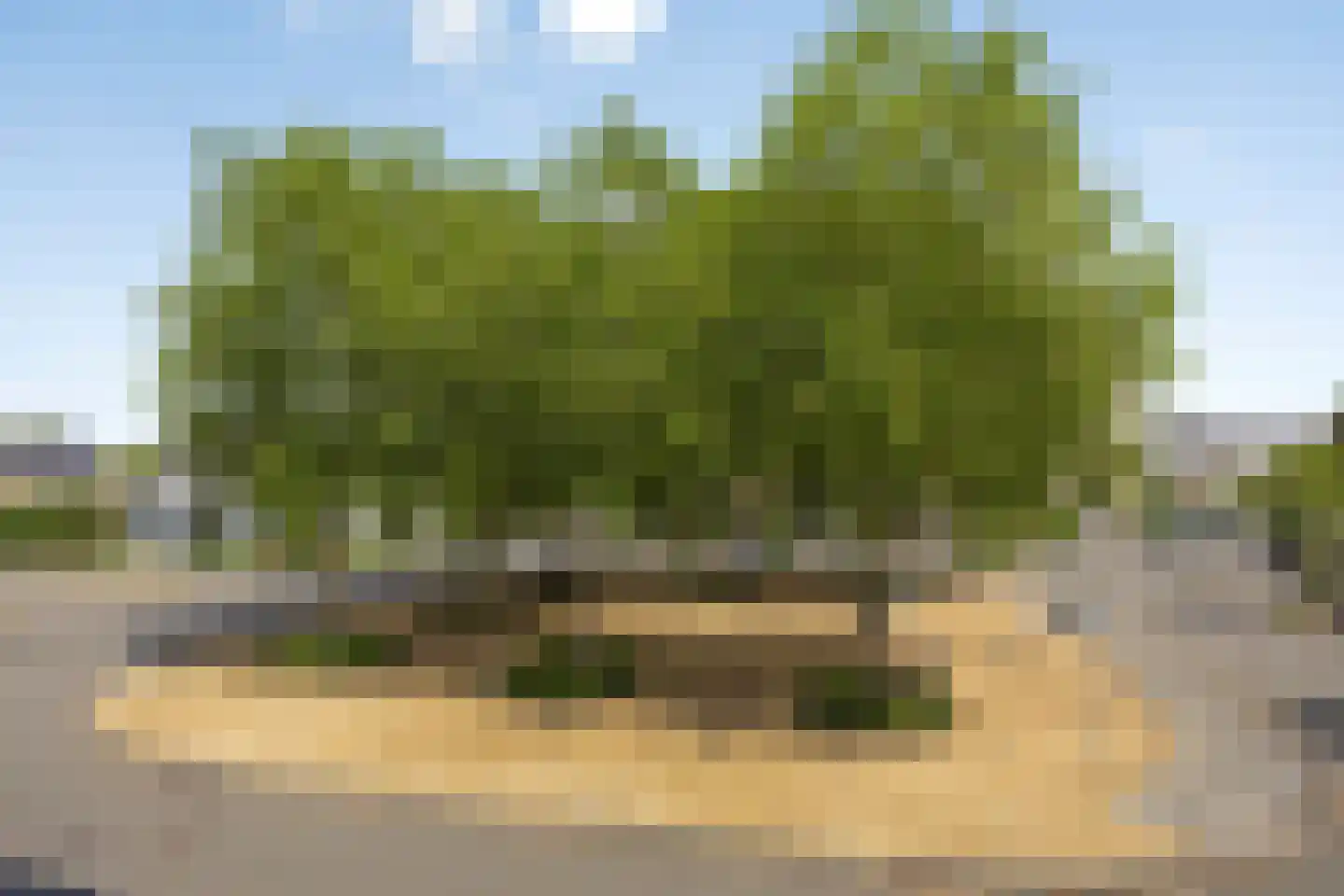Emile Zolaplein 9 Eindhoven thumbnail 25