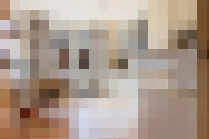 Emilia van Nassaustraat 26 Wijchen thumbnail 12