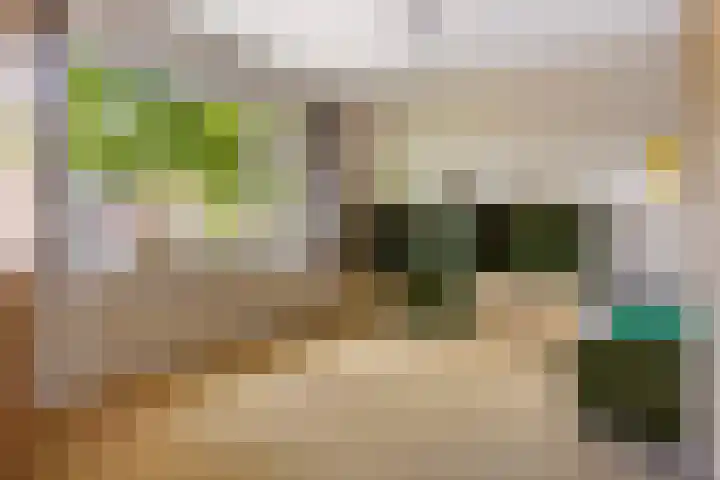 Emilia van Nassaustraat 26 Wijchen thumbnail 18