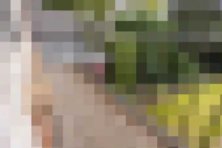 Emilia van Nassaustraat 26 Wijchen thumbnail 20