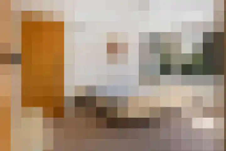 Emilia van Nassaustraat 26 Wijchen thumbnail 21
