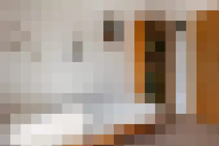 Emilia van Nassaustraat 26 Wijchen thumbnail 24