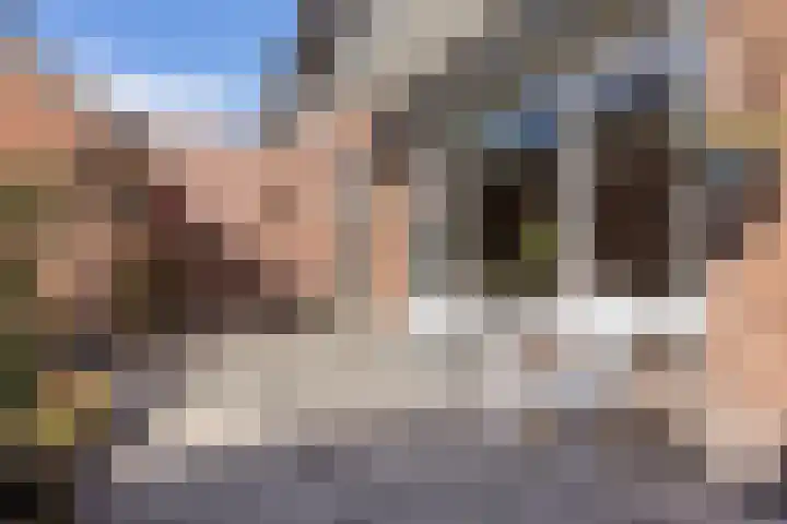 Emilia van Nassaustraat 26 Wijchen thumbnail 28