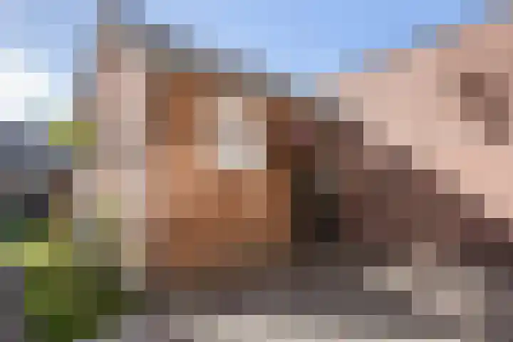 Emilia van Nassaustraat 26 Wijchen thumbnail 30