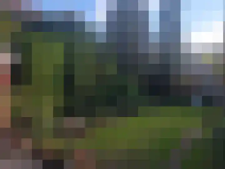 Emilia van Nassaustraat 26 Wijchen thumbnail 31
