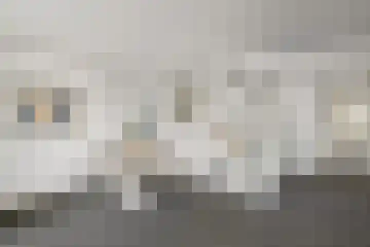 Emiliahof 29 Rotterdam thumbnail 12