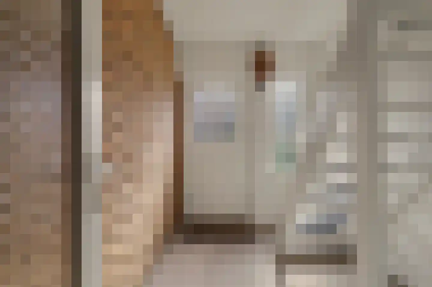 Emiliastraat 11 Geertruidenberg thumbnail 14