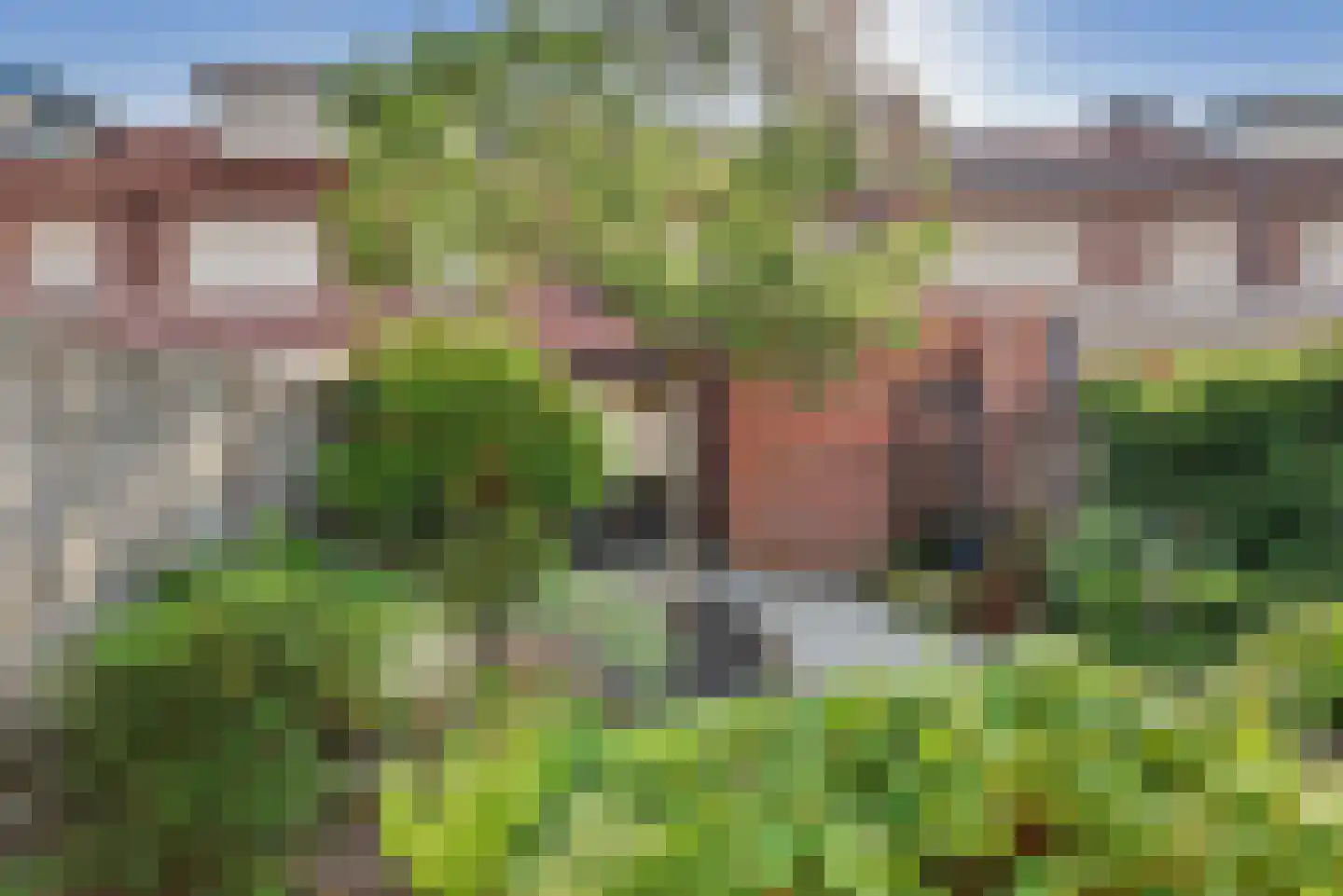 Emiliastraat 11 Geertruidenberg thumbnail 30