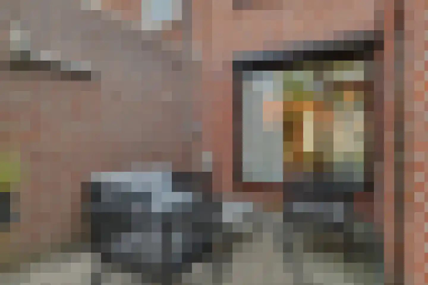 Emiliastraat 11 Geertruidenberg thumbnail 32