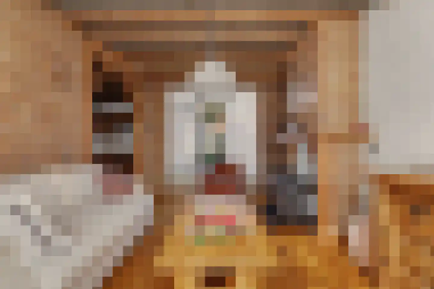 Emiliastraat 11 Geertruidenberg thumbnail 5