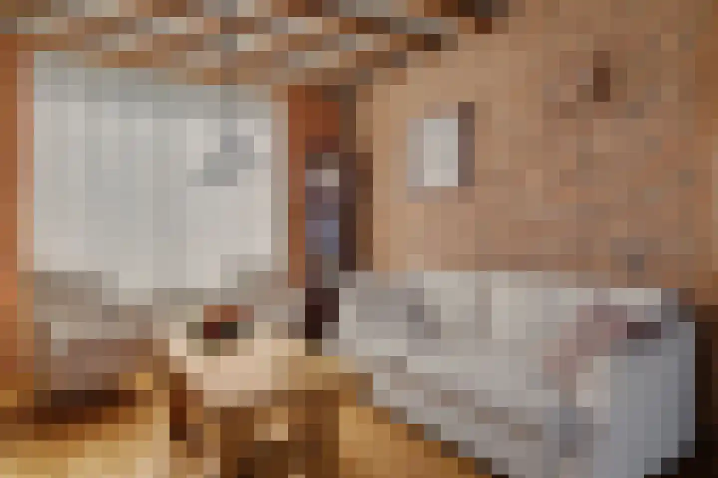 Emiliastraat 11 Geertruidenberg thumbnail 7