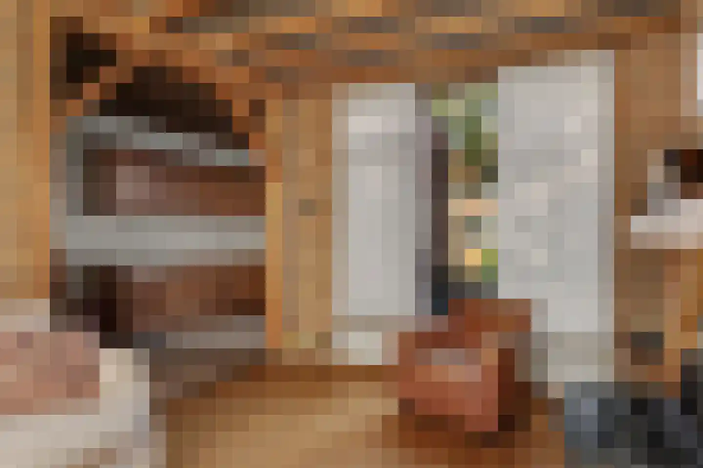 Emiliastraat 11 Geertruidenberg thumbnail 8