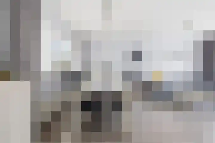 Emiliastraat 19 Geertruidenberg thumbnail 10