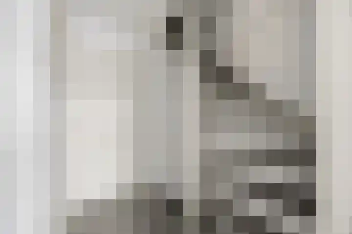 Emiliastraat 19 Geertruidenberg thumbnail 13