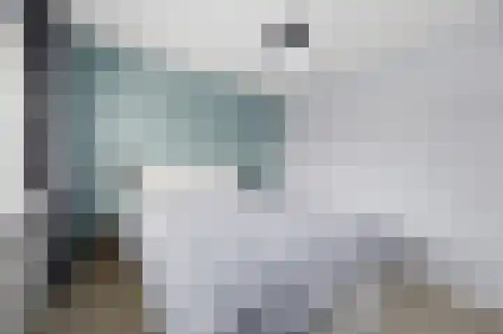 Emiliastraat 19 Geertruidenberg thumbnail 16